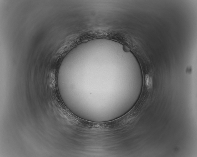 X0000115331203200911161801