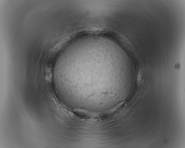 X0000115331204200911161801