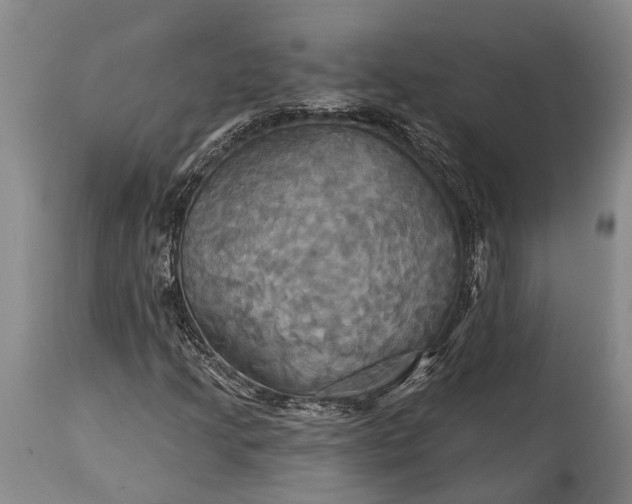 X0000115331205200911161801