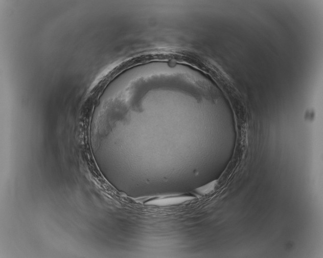 X0000115331208200911161801