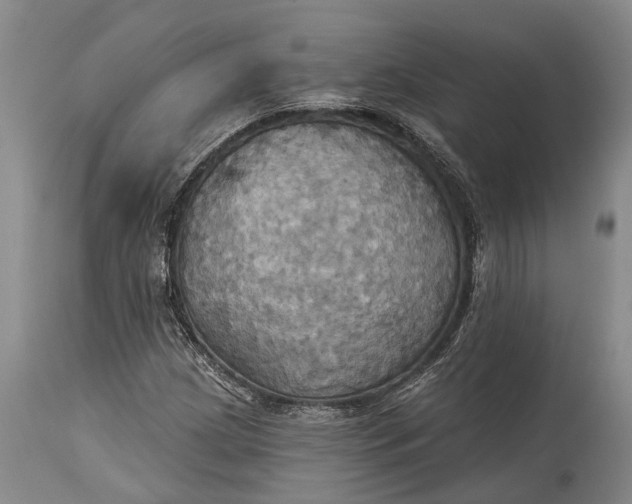 X0000115331209200911161801