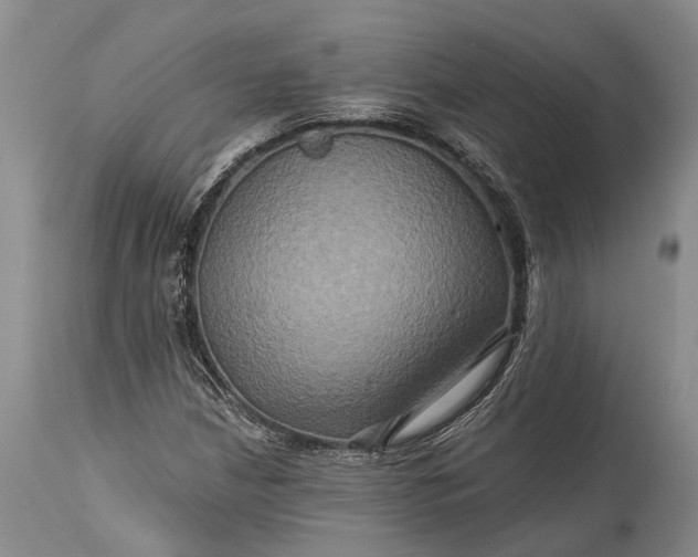 X0000115331210200911161801