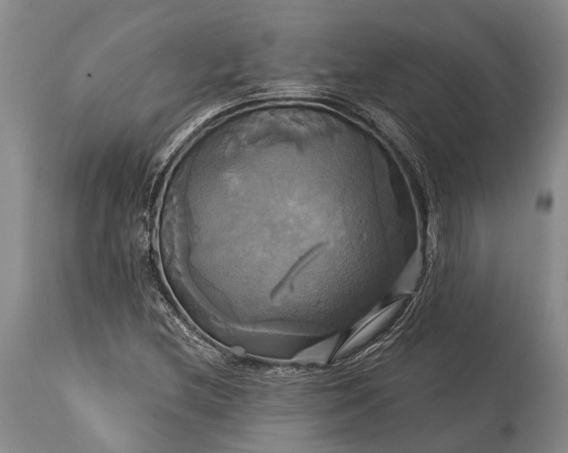 X0000115331212200911161801
