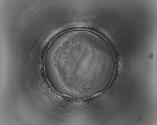X0000115331213200911161801