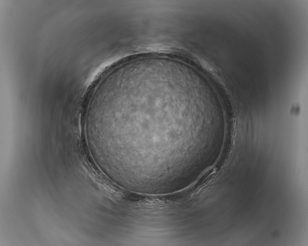 X0000115331214200911161801