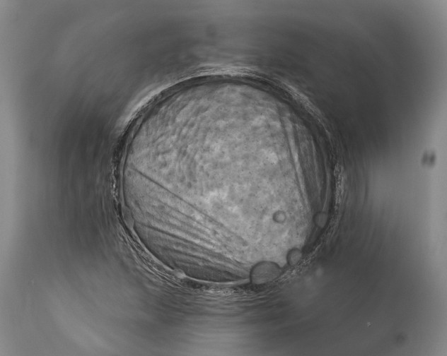 X0000115331215200911161801