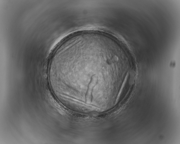 X0000115331216200911161801