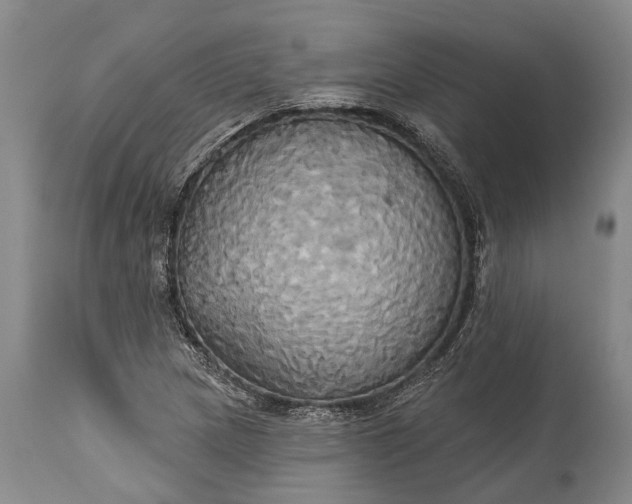 X0000115331217200911161801