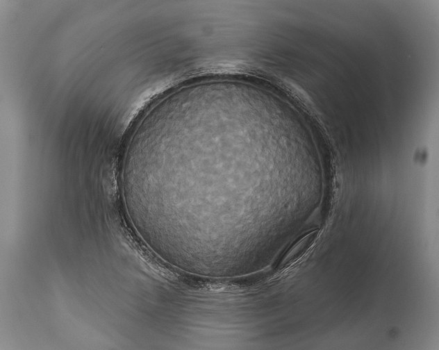 X0000115331218200911161801