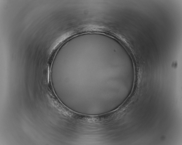 X0000115331219200911161801