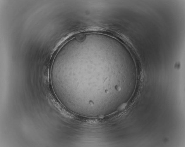 X0000115331220200911161801