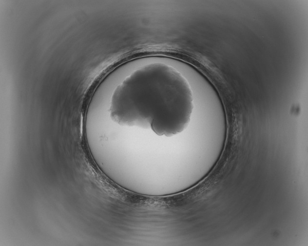 X0000115331221200911161801