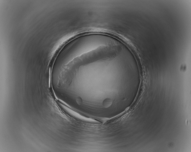 X0000115331223200911161801