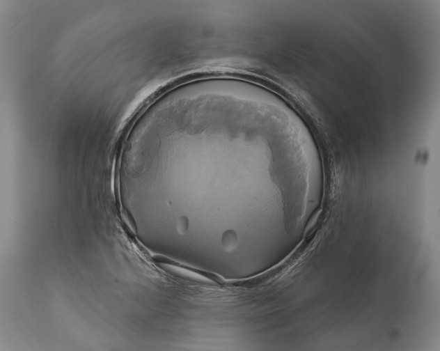 X0000115331224200911161801