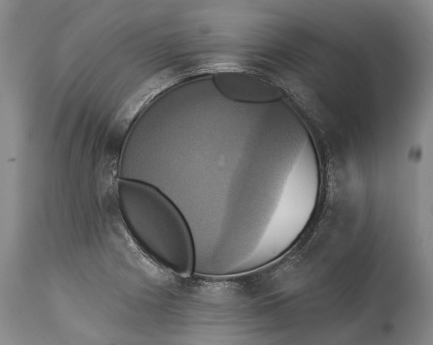 X0000115331225200911161801