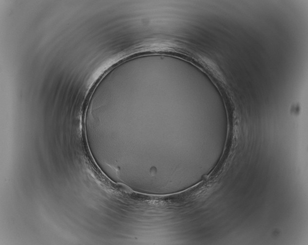 X0000115331226200911161801