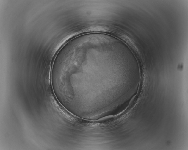 X0000115331228200911161801