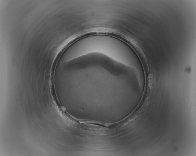 X0000115331229200911161801