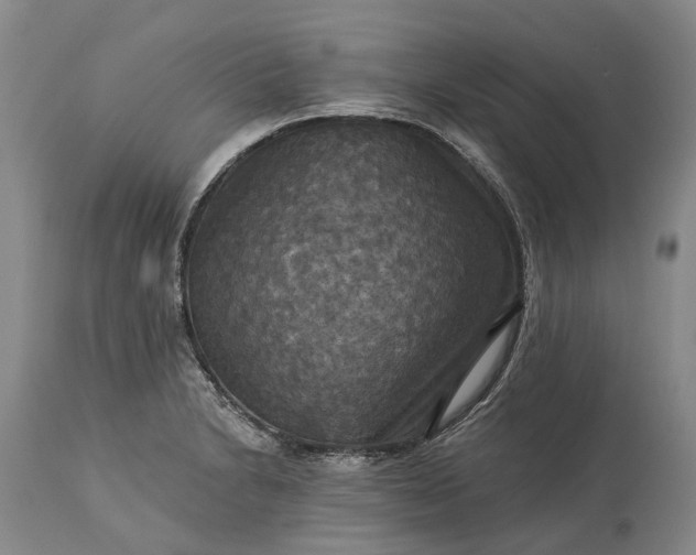 X0000115331230200911161801