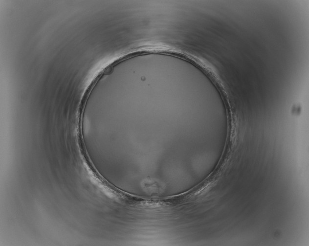 X0000115331231200911161801