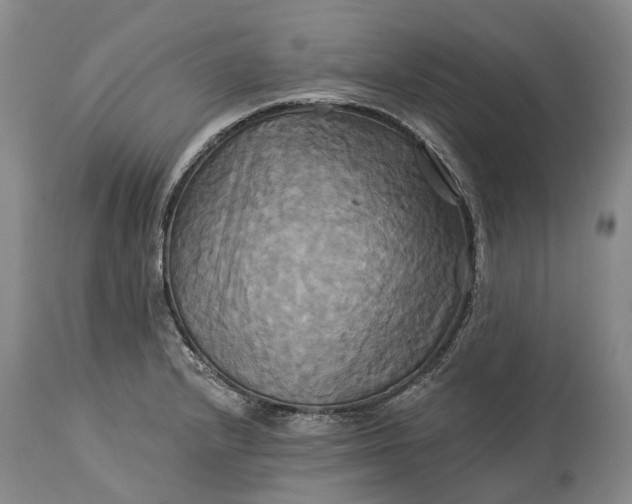 X0000115331232200911161801