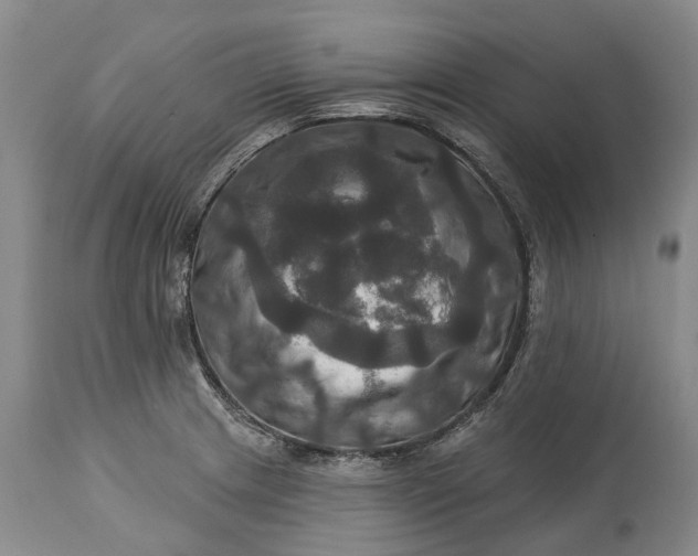 X0000115331233200911161801