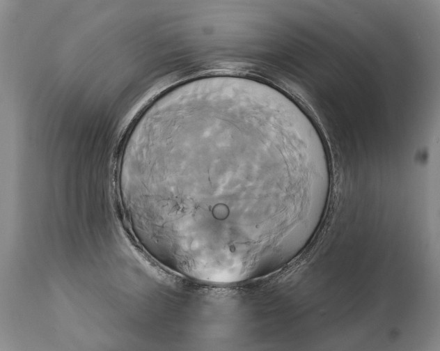 X0000115331235200911161801
