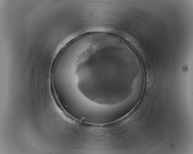 X0000115331237200911161801