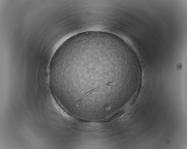 X0000115331238200911161801