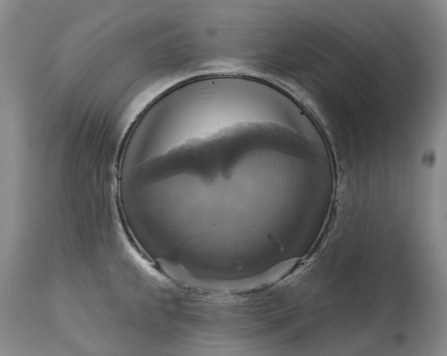 X0000115331239200911161801
