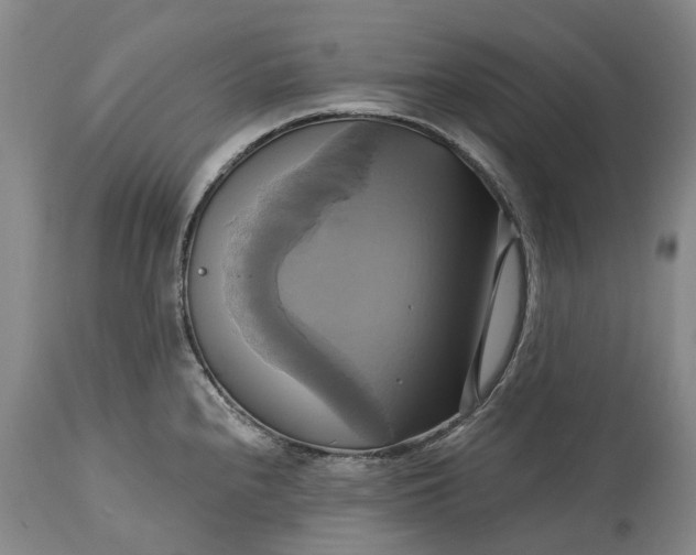 X0000115331240200911161801