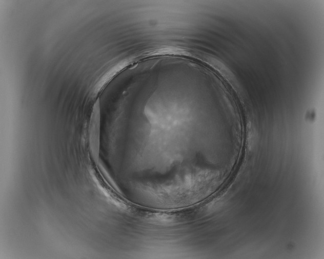 X0000115331241200911161801