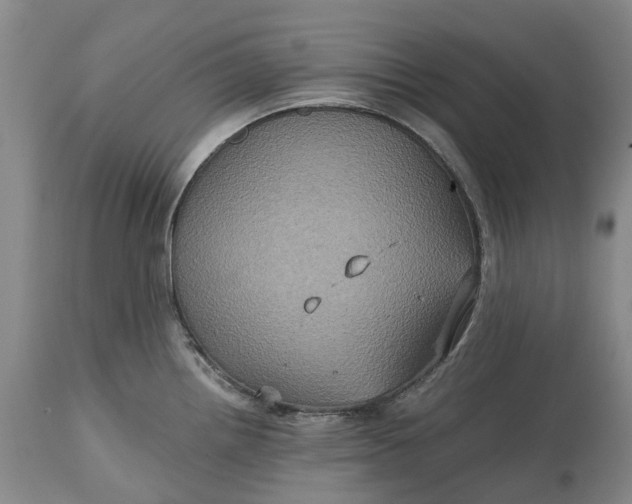 X0000115331242200911161801