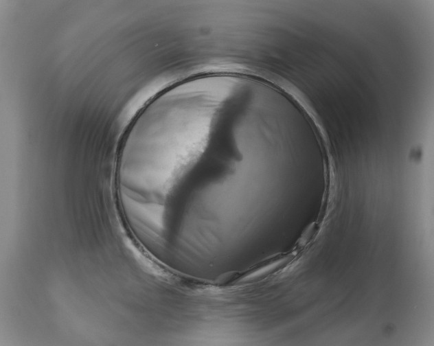 X0000115331245200911161801