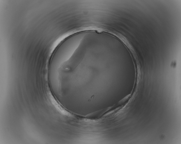 X0000115331246200911161801