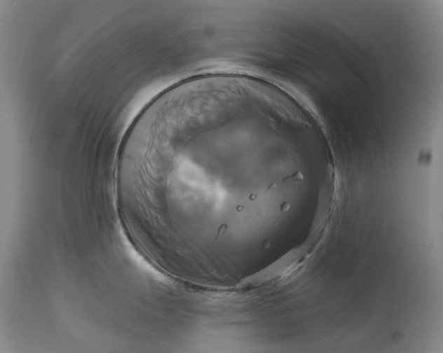 X0000115331247200911161801