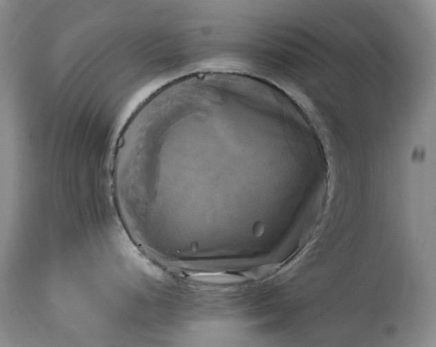 X0000115331248200911161801