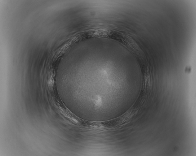 X0000115331250200911161800