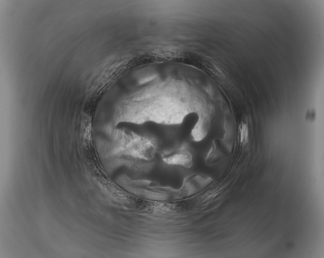X0000115331251200911161800