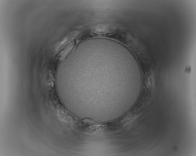 X0000115331253200911161800