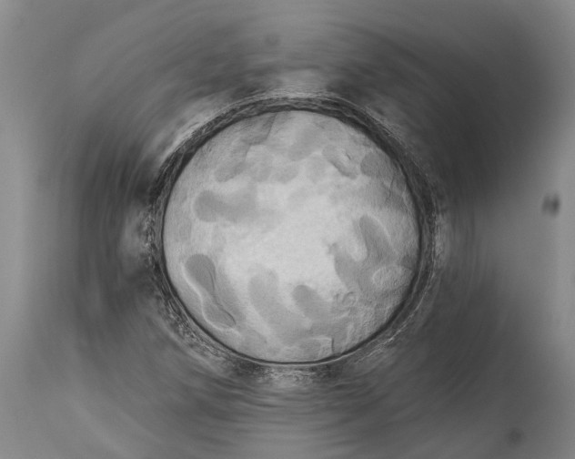 X0000115331258200911161800