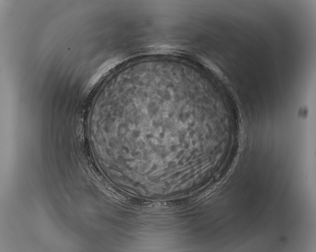 X0000115331259200911161800