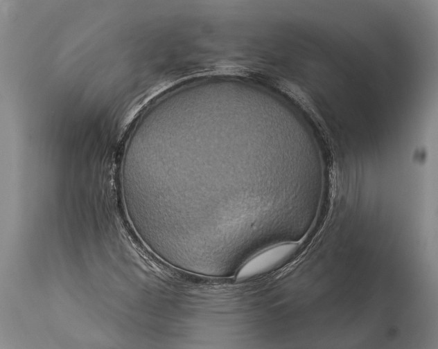 X0000115331260200911161800