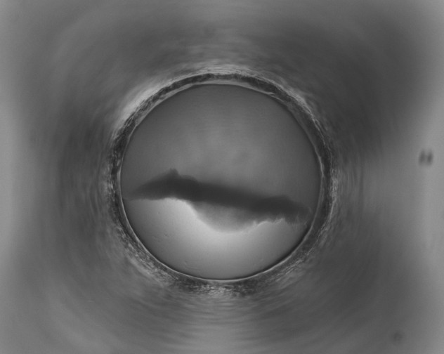 X0000115331263200911161800