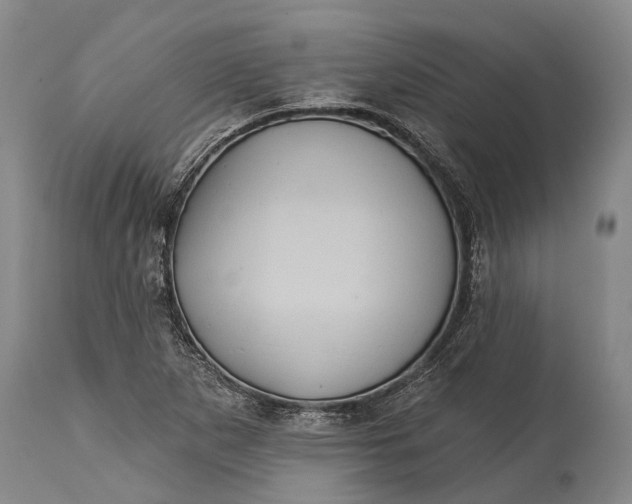 X0000115331265200911161800