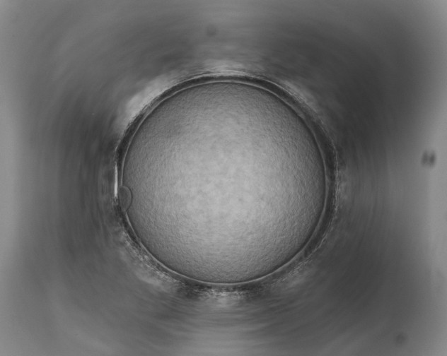X0000115331269200911161800