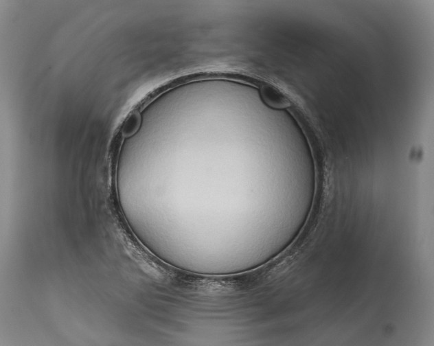X0000115331270200911161800