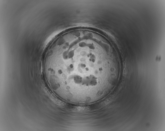 X0000115331271200911161800