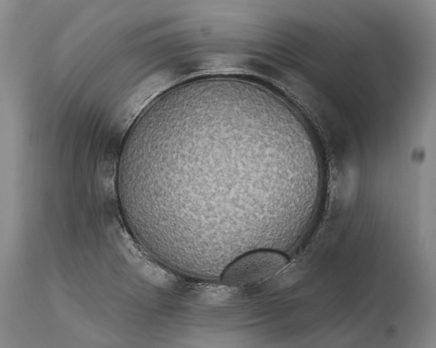 X0000115331273200911161800