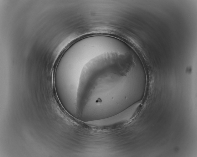 X0000115331275200911161800